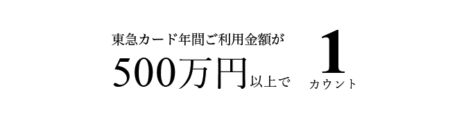 東急カードクレジット決済の年間ご利用金額500万円以上で、1カウント