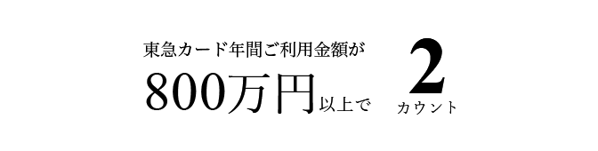 東急カードクレジット決済の年間ご利用金額800万円以上で、2カウント